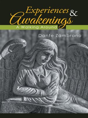 cover image of Experiences & Awakenings